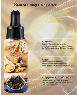 Image of Hair Growth Oil Hair Growth Oil Oem Hair Care Essential Oil