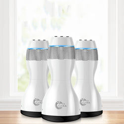 Image of Ruichu Charging Style Stone Warming Moxibustion Machine Bea